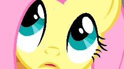 Size: 960x540 | Tagged: safe, screencap, fluttershy, pony, g4, season 1, stare master, animated, bad poker face, female, solo, sweat, talking