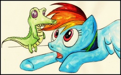 Size: 6191x3837 | Tagged: safe, artist:rattengoettin, gummy, rainbow dash, g4