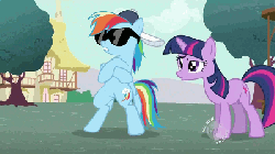 Size: 400x225 | Tagged: safe, screencap, rainbow dash, twilight sparkle, g4, may the best pet win, animated, female, petting, sunglasses