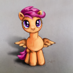 Size: 2000x2000 | Tagged: safe, artist:shaadorian, scootaloo, g4, female, solo