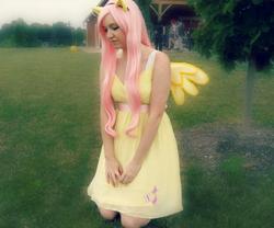 Size: 960x799 | Tagged: safe, artist:suzakulover8, fluttershy, human, g4, cosplay, irl, irl human, photo, solo