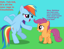 Size: 4887x3738 | Tagged: safe, rainbow dash, scootaloo, g4, plucked