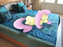 Size: 4608x3456 | Tagged: safe, artist:missbeigepony, artist:sunran80, fluttershy, g4, bed, house, irl, photo, ponies in real life, prone, sipping, solo, teacup, vector