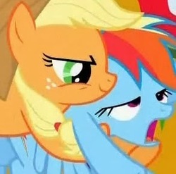 Size: 294x291 | Tagged: safe, screencap, applejack, rainbow dash, fall weather friends, g4, out of context