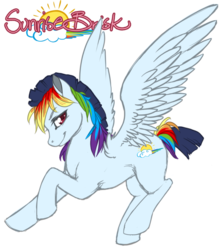 Size: 842x948 | Tagged: safe, artist:toastiepony, oc, oc only, oc:sunrise brisk, flying, offspring, parent:rainbow dash, parent:soarin', parents:soarindash, solo