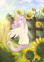 Size: 921x1284 | Tagged: safe, artist:nati789, princess celestia, alicorn, pony, g4, crepuscular rays, day, female, field, flower, garden, looking at you, looking back, looking over shoulder, outdoors, scenery, sitting, solo, sunflower, sunshine, wheat