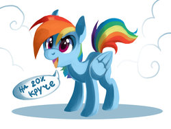 Size: 1024x768 | Tagged: safe, artist:typicalup, rainbow dash, g4, 20% cooler, female, russian, solo