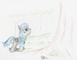 Size: 1010x790 | Tagged: safe, artist:kuroitsubasatenshi, oc, oc only, pegasus, pony, dusky down, forest, traditional art