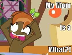 Size: 500x382 | Tagged: safe, button mash, earth pony, pony, button's adventures, g4, colt, foal, hat, hooves, image macro, male, open mouth, propeller hat, revelation, solo, teeth, text