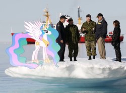 Size: 900x661 | Tagged: safe, artist:cplhenderson, princess celestia, human, g4, cadpat, canada, coast guard, irl, irl human, military, photo, ponies in real life