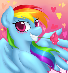 Size: 800x860 | Tagged: safe, artist:katurkeyg, rainbow dash, g4, blushing, female, flower, flower in mouth, mouth hold, pretty princess, rose, solo