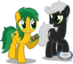 Size: 6070x5265 | Tagged: safe, artist:austiniousi, absurd resolution, australia, duo, nation ponies, new zealand, simple background, transparent background