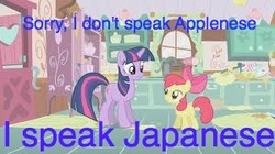 Size: 300x168 | Tagged: safe, apple bloom, twilight sparkle, friendship is witchcraft, g4, applenese, japanese, meme, text