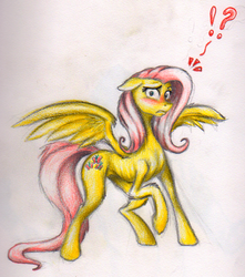 Size: 780x884 | Tagged: safe, artist:benrusk, fluttershy, g4, female, solo