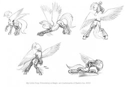 Size: 1280x898 | Tagged: safe, artist:baron engel, rainbow dash, g4, bellyrubs, boots, chaps, clothes, collar, costume, monochrome, pencil drawing, traditional art