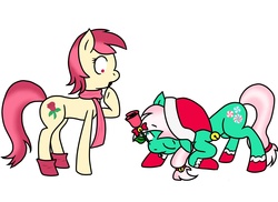 Size: 1753x1274 | Tagged: safe, artist:lourita-shine, minty, roseluck, earth pony, pony, g3, g4, bowing, christmas, clothes, female, flower, flower in mouth, g3 to g4, generation leap, hat, holiday, lesbian, looking down, looking up, mare, mouth hold, one eye closed, open mouth, raised hoof, rose, rosemint, santa hat, scarf, shipping, socks, surprised, tail