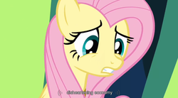 Size: 939x520 | Tagged: safe, screencap, fluttershy, g4, female, solo, youtube caption