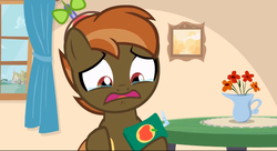 Size: 1360x738 | Tagged: safe, screencap, button mash, earth pony, pony, button's adventures, g4, colt, crying, foal, hat, hooves, juice box, male, open mouth, ponyville, propeller hat, sad, solo, window