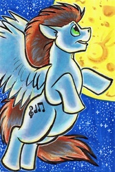 Size: 500x749 | Tagged: safe, artist:genesisw, oc, oc only, oc:harmony hope, pegasus, pony, chubby, colt, flying, full moon, looking up, male, markers, moon, night, sky, solo, stars, traditional art