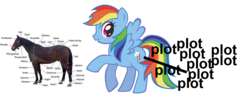 Size: 2527x1050 | Tagged: safe, rainbow dash, g4, anatomy, butt, hoers, parody, plot, text