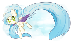Size: 1000x577 | Tagged: safe, artist:vella, oc, oc only, oc:star chaser, pegasus, pony, colored wings, flying, long mane, long tail, ponytail, solo