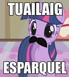 Size: 402x449 | Tagged: safe, twilight sparkle, g4, artifact, female, image macro, moustache, solo, spanish, text, tuailaig esparquel