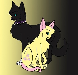 Size: 551x534 | Tagged: safe, artist:metaknightrules, fluttershy, cat, friendship is magic, g4, my little pony: friendship is magic, crossover shipping, female, flutterscourge, gradient background, male, scourge, shipping, species swap, straight, warrior cats