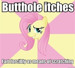 Size: 400x361 | Tagged: safe, fluttershy, pony, g4, female, foul bachelorette fluttershy, image macro, implied farting, meme, solo