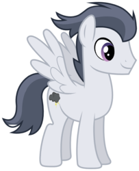 Size: 712x878 | Tagged: safe, artist:rainbowderp98, rumble, pegasus, pony, g4, adult, feathered wings, happy, male, older, older rumble, simple background, smiling, solo, spread wings, stallion, svg, transparent background, vector, wings