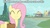 Size: 853x480 | Tagged: safe, fluttershy, g4, female, image macro, solo