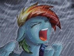 Size: 640x480 | Tagged: safe, artist:the-wizard-of-art, rainbow dash, pegasus, pony, g4, eyes closed, female, floppy ears, mare, open mouth, rain, solo, traditional art, watercolor painting, yelling