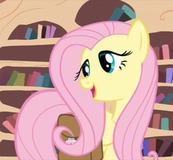 Size: 520x480 | Tagged: safe, screencap, fluttershy, g4, just for sidekicks, female, solo