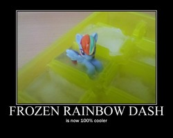 Size: 750x600 | Tagged: safe, rainbow dash, g4, blind bag, cold, cooler, frozen, ice, irl, motivational poster, motivator, photo, pun, toy