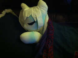 Size: 800x597 | Tagged: safe, artist:celerypony, oc, oc only, oc:celery, bed, cute, irl, photo, plushie, sleeping