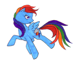 Size: 585x489 | Tagged: safe, artist:shadowgirlfan, rainbow dash, g4, female, solo, traditional art