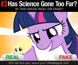 Size: 432x360 | Tagged: safe, fluttershy, twilight sparkle, g4, butter, flutterbutter, has science gone too far?, literal buttershy, pun, real or fake, science