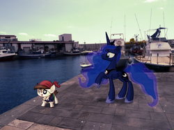 Size: 2560x1920 | Tagged: safe, artist:colorfulbrony, pipsqueak, princess luna, g4, irl, photo, ponies in real life