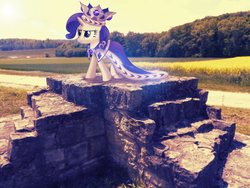 Size: 2560x1920 | Tagged: safe, artist:colorfulbrony, princess platinum, rarity, pony, unicorn, g4, clothes, crown, irl, photo, ponies in real life, robe, royalty, solo, vector