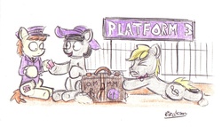 Size: 1679x959 | Tagged: safe, artist:bobthedalek, oc, oc only, oc:mixed melody, oc:octavia's father, oc:octavia's mother, oc:ostinato melody, earth pony, pony, female, heavy, male, parent, suitcase, ticket, train station