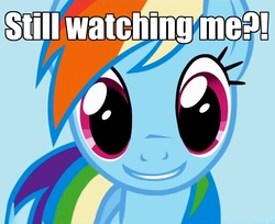 Size: 1326x1080 | Tagged: safe, rainbow dash, g4, bronybait, caption, eyes, female, grin, image macro, solo, soul stare, stare, talking to viewer