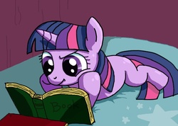 Size: 770x548 | Tagged: safe, artist:imo, twilight sparkle, g4, book, female, pixiv, reading, solo