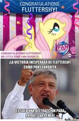 Size: 631x960 | Tagged: safe, fluttershy, human, pony, g4, amlo, andrés manuel lópez obrador, caption, cute, esto es un compló, irl, irl human, mexico, microphone, open mouth, pemex, photo, shyabetes, spanish, spanish text, spread wings, text, the hub, translated in the comments, wings