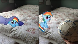 Size: 1920x1080 | Tagged: safe, artist:mr-kennedy92, rainbow dash, human, g4, bed, blanket, cute, filly, football, hand, irl, photo, ponies in real life, vector