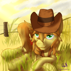 Size: 900x900 | Tagged: safe, artist:quinsapientae, braeburn, g4, bedroom eyes, cloud, cloudy, hat, male, solo