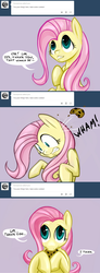 Size: 1280x3493 | Tagged: safe, artist:halley-valentine, fluttershy, g4, cookie, cute, eating, female, flutterbuse, nom, solo, throw, throwing things at fluttershy, tumblr