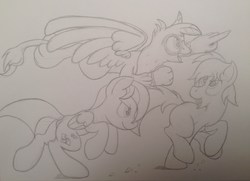 Size: 3171x2291 | Tagged: safe, artist:rfiguer9, oc, oc only, griffon, colt, male, traditional art