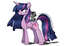 Size: 1772x1253 | Tagged: safe, artist:jcosneverexisted, smarty pants, twilight sparkle, alicorn, pony, g4, female, mare, older, simple background, solo, transparent background, twilight sparkle (alicorn)