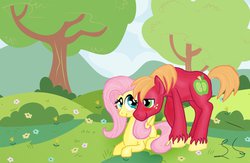 Size: 1024x666 | Tagged: safe, artist:some-pegasister, big macintosh, fluttershy, earth pony, pony, g4, male, ship:fluttermac, shipping, stallion, straight