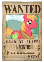 Size: 848x1200 | Tagged: safe, artist:lightdegel, big macintosh, earth pony, pony, g4, crossover, franky, male, one piece, solo, stallion, wanted, wanted poster