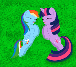 Size: 3600x3176 | Tagged: safe, artist:intet22, rainbow dash, twilight sparkle, g4, duo